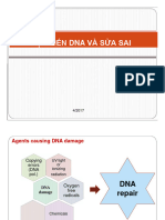 8 SHPT - Sai và sửa sai