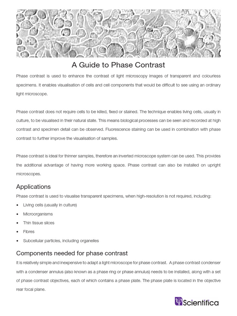 Phase Contrast | PDF | Microscopy | Diffraction