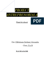 Proiect Antreprenoriala