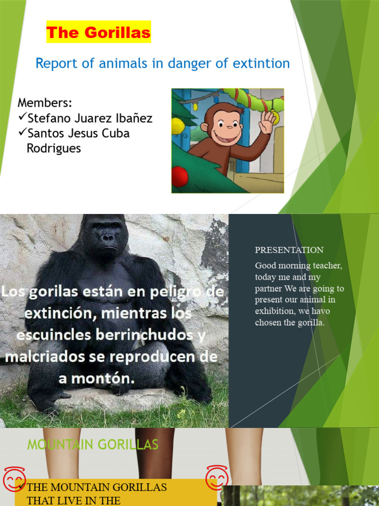 Gorillas: Endangered Species Report | PDF | Home & Garden | Science ...
