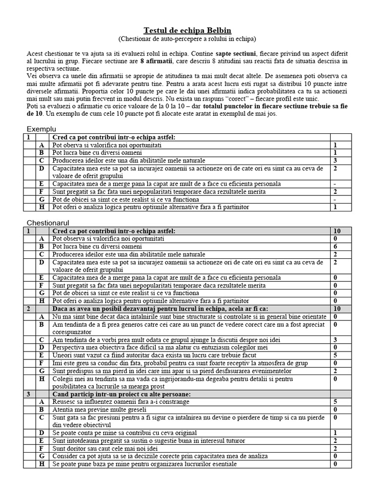 Testul de Echipa Belbin - Descriere | PDF