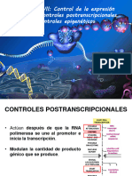 Unidad 7b - Control de La Expresión Génica - Controles Postranscripcionales y Epigenéticos