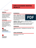 Ivan Alejandro Murillo CV