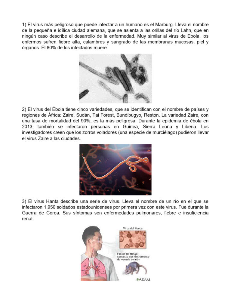 10 Virus Mas Mortales Del Mundo Pdf Virus Inmunología