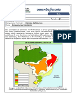 Biomas Brasileiros - Atividade