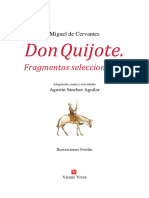 El Quijote capítulos seleccionados