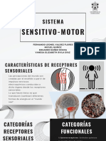 Sistema sensitivo-motor (1)