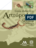 Guia Didactica de Los Artropodos de La Gran Senda de Malaga y Provincia v2