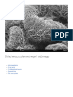 Sklad Moczu Pierwotnego I Wtornego