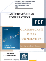 Cooperativas - Classificação Das Cooperativas e Constituição Da Sociedade Cooperativa