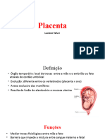 Placenta e Neurulação 2019.1