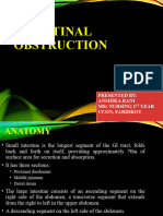 Intestinal Obstruction Ppt