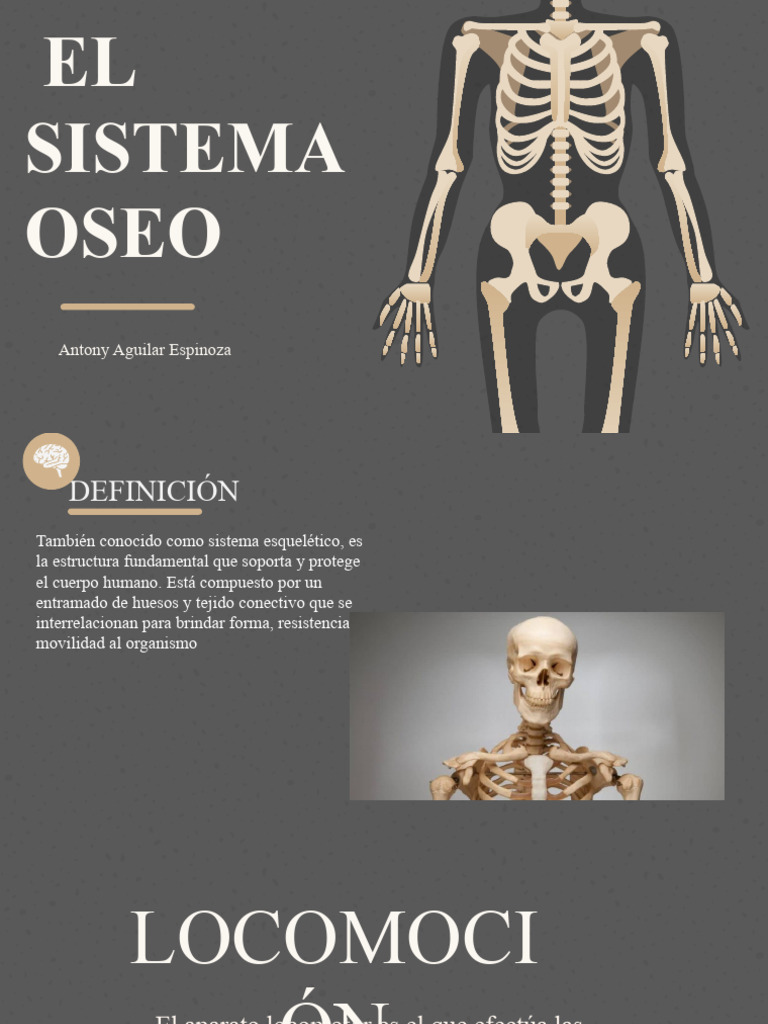 El Sistema Oseo Oseo Pdf