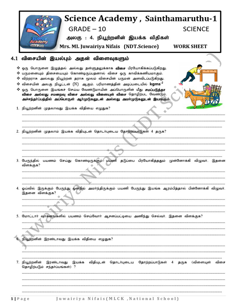 Grade 10 Unit 4 Worksheet | PDF