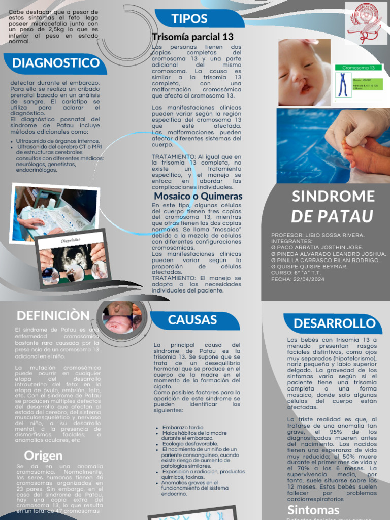 Síndrome de Patau: Diagnóstico y Características | PDF | Enfermedades y