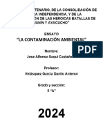 La Contaminación Ambiental