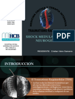 Shock Medular Neurogenico Jose Cristian Vairo