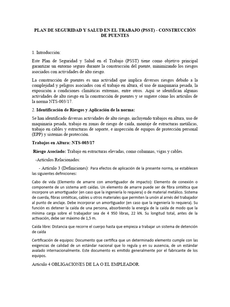 Plan de Seguridad y Salud en El Trabajo | PDF | Andamio