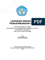 Laporan Pengembangan Keprofeian Berkelanjutan