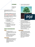 Transformative Pedagogies Understanding Conflict