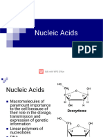 Nucleic Acids and Replication
