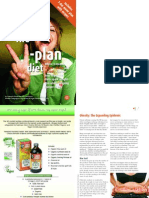 V Plan Guide