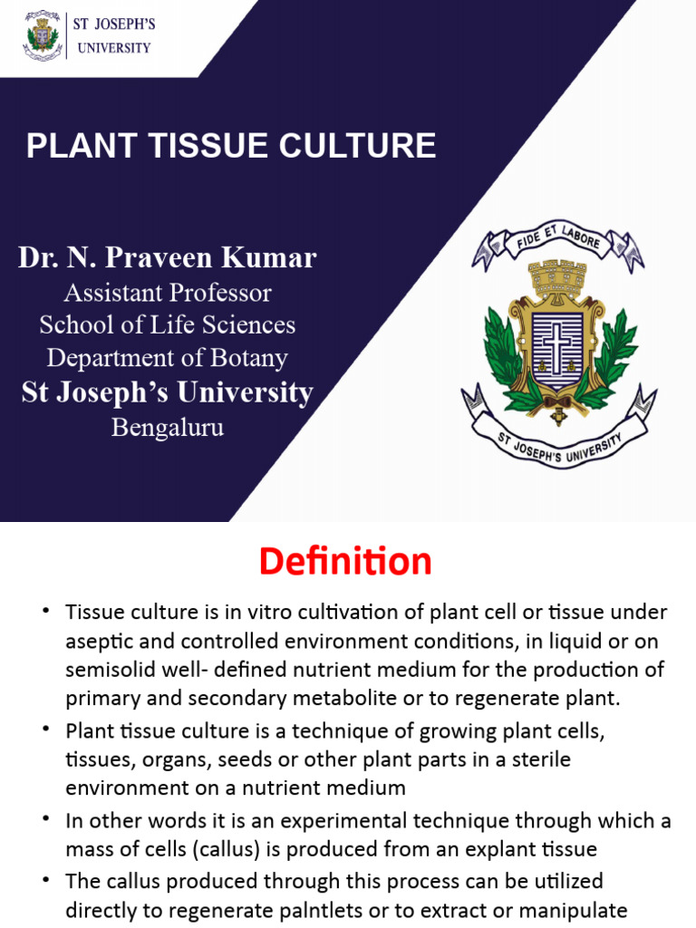 Plant Tissue Culture Techniques Explained | PDF | Plant Nutrition ...