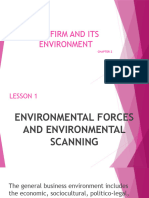 Chapter 2 - The Firm and It's Environment