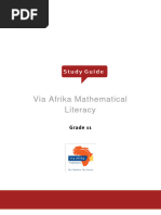 Grade 11 Maths Literacy Study Guide | PDF | Speed | Mathematics
