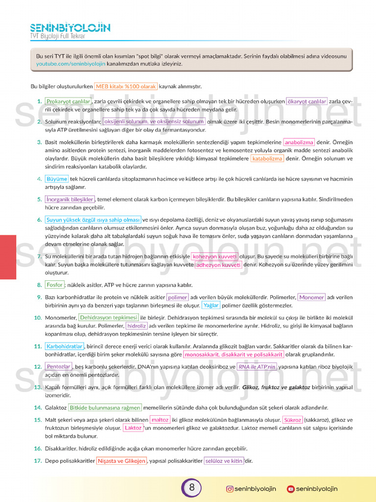 01 2025 2026 BIYOLOJI 2 D NEM Z MRE TOPLANT TUTANA WEB DE visual data 7