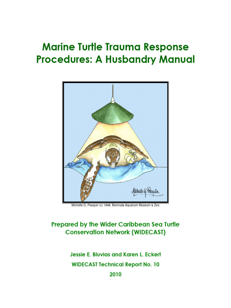Marine Turtle Trauma Response Manual | PDF | Sea Turtle | Physical Therapy