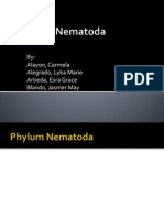 Phylum Nematoda