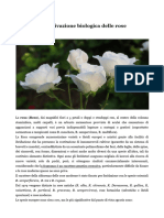 la coltivazione biologica delle rose (1)