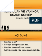 Tong Quan Ve Van Hoa Doanh Nghiep