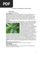 Download Tanaman Yang Berkhasiat Sebagai Obat by Setsuna F Seiei SN73566946 doc pdf