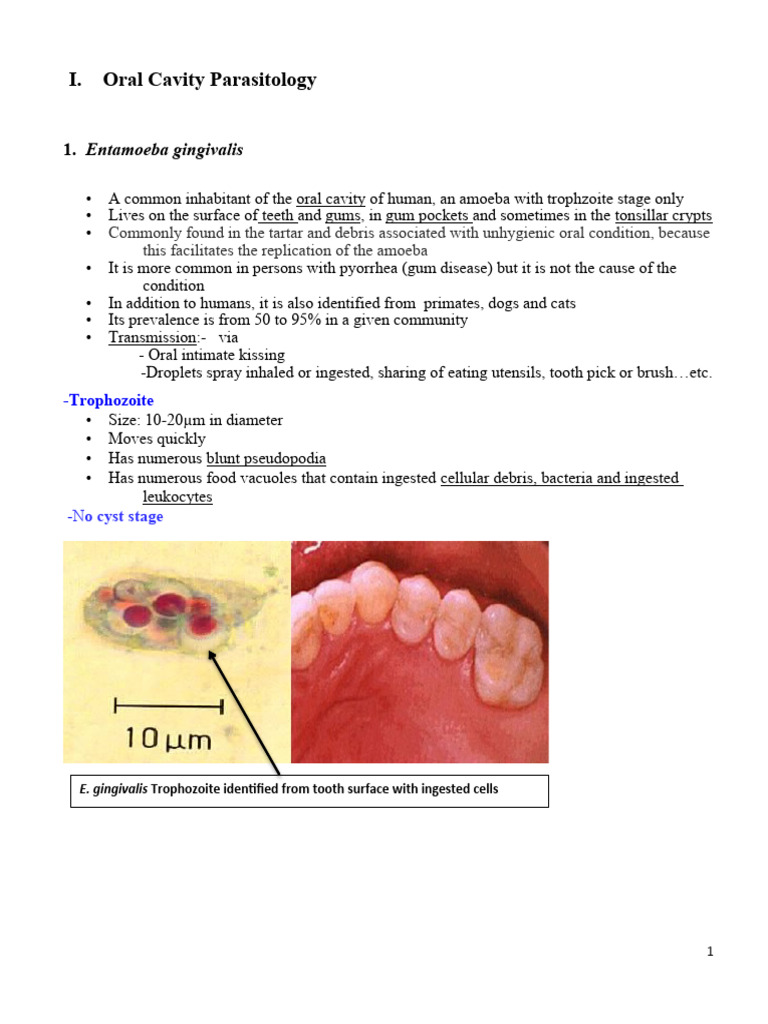 Oral Cavity Parasites and Infections | PDF | Diarrhea | Medical Specialties