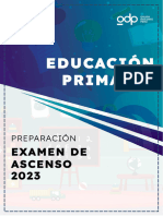 01 - 07 L GRUPO DOCENTE PERÚ - EDUCACIÓN PRIMARIA PDF