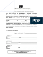 DECLARAÇÃO DE PERTENCIMENTO ÉTNICO QUILOMBOLA.docx