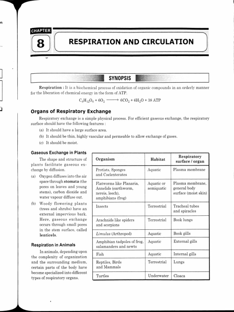 1648563098respiration and Circulation | PDF | Lung | Respiratory Tract