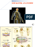 61) Sinir Sistemi Klinik Anatomisi (Turgay Karataş)