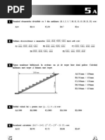 Subiecte Matematica 5