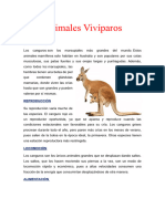 Animales Vivíparos