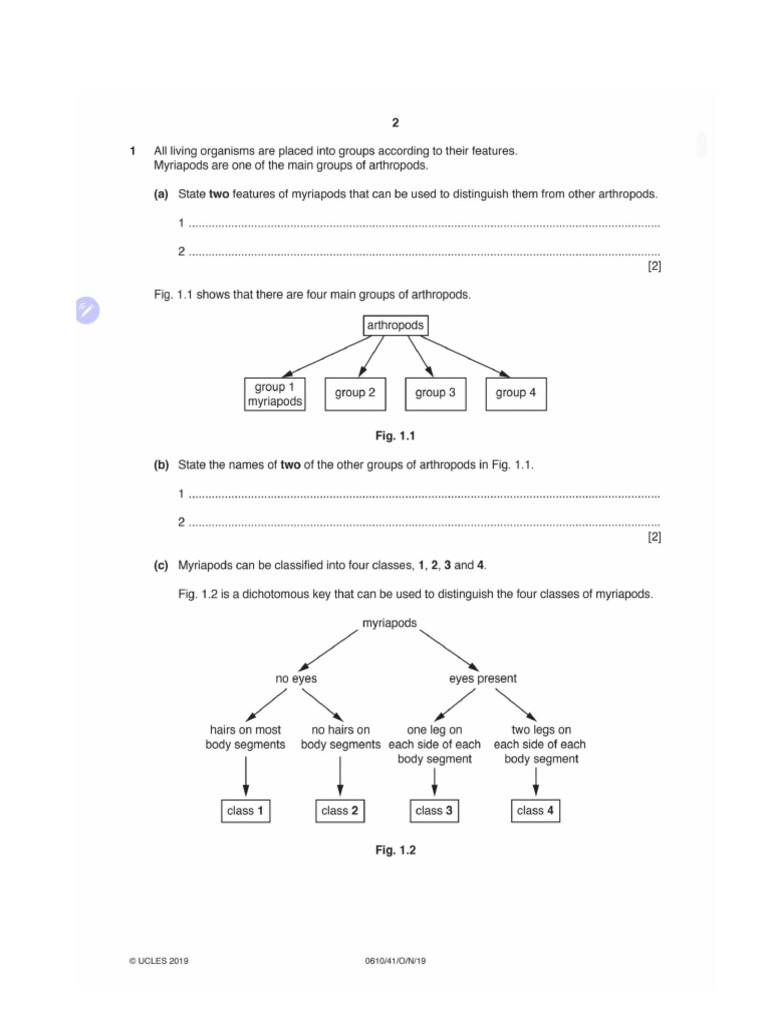 Biology P4 Practice 1 Pdf