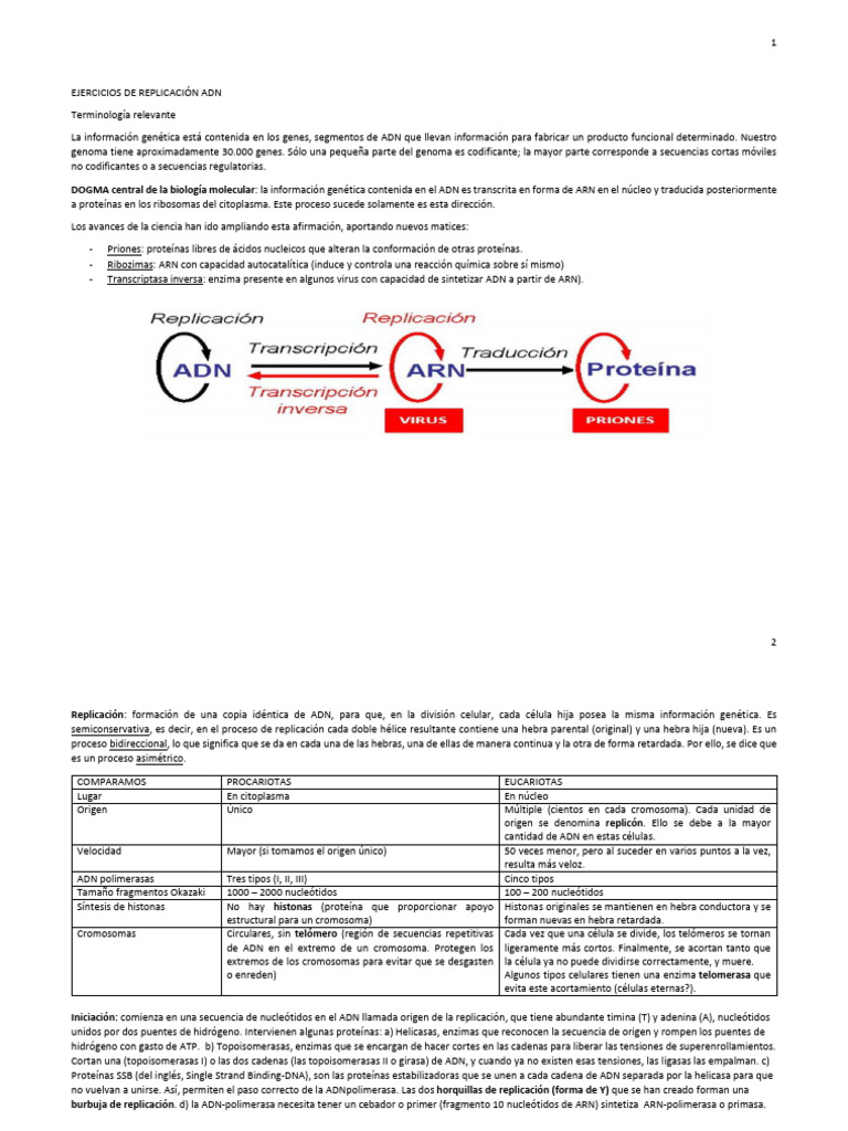 Enzimas en la replicación del ADN | PDF | Replicación De Adn | Adn