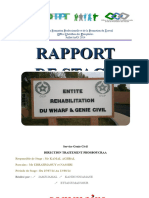 Rapport Stage Mois 08 2014