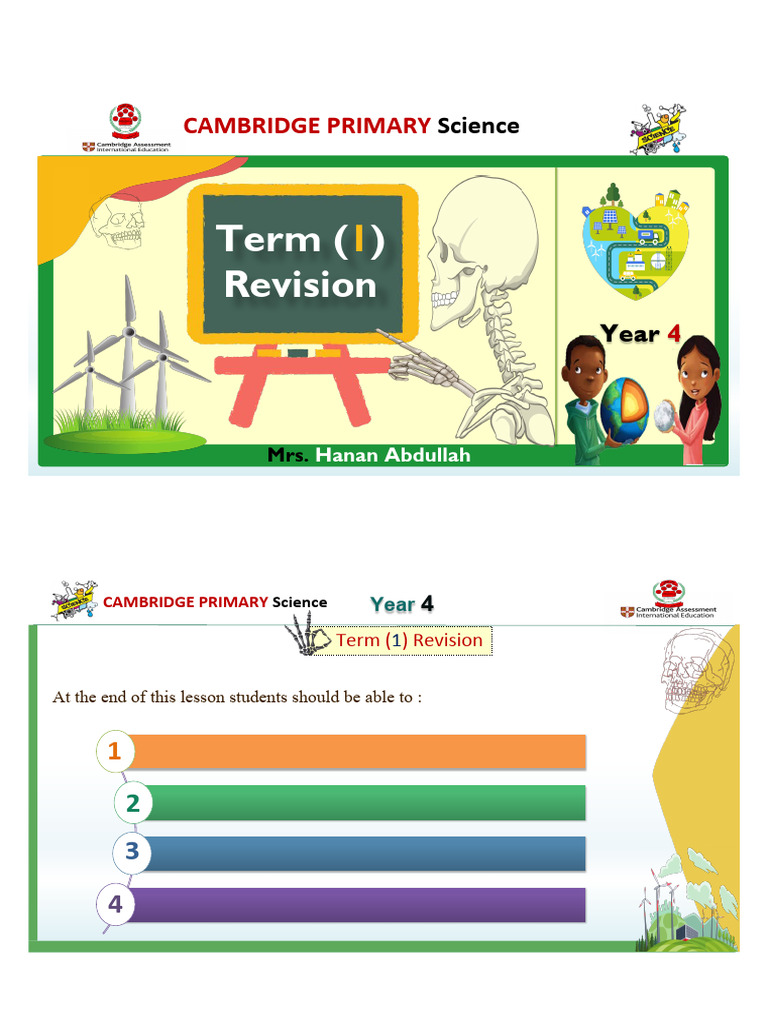 Grade 4 Science Revision Worksheets | PDF | Predation | Foods