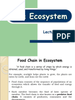 Lecture 03 (Ecosystem)