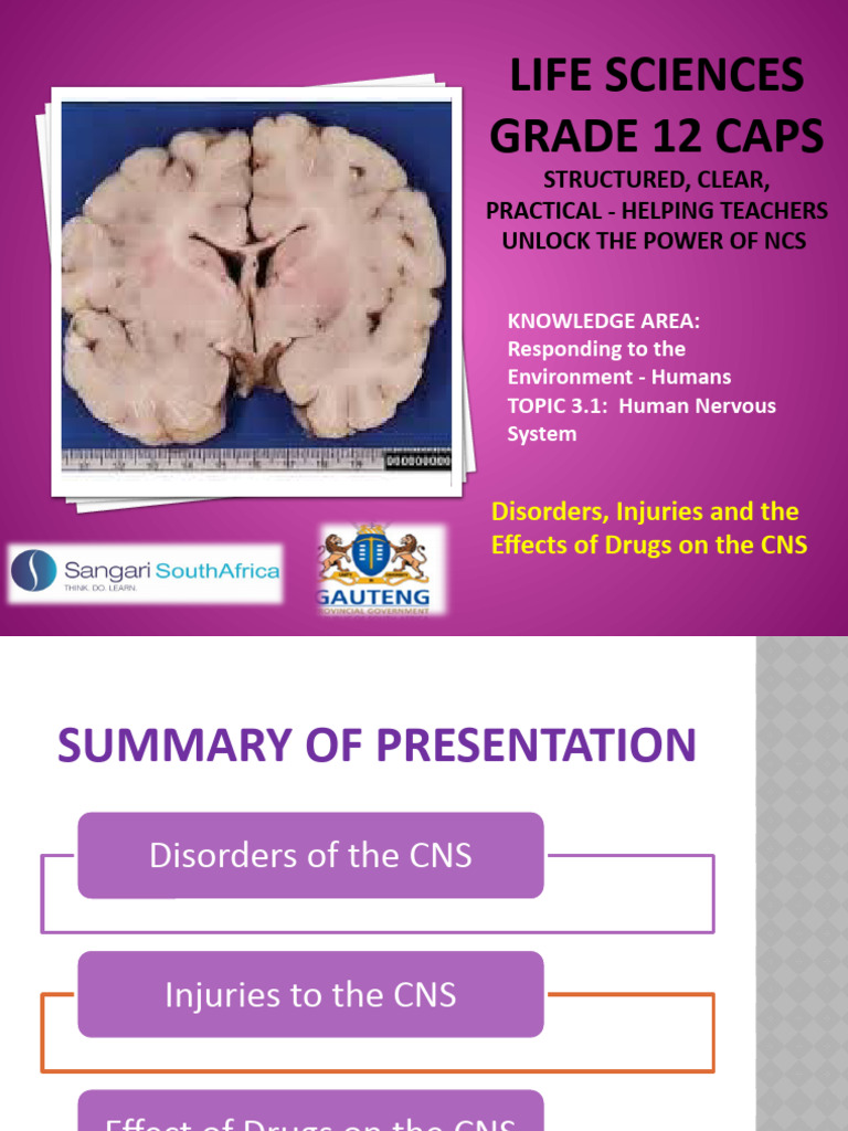 PP14. Disorders, Injuries and Effects of Drugs On The CNS | PDF ...