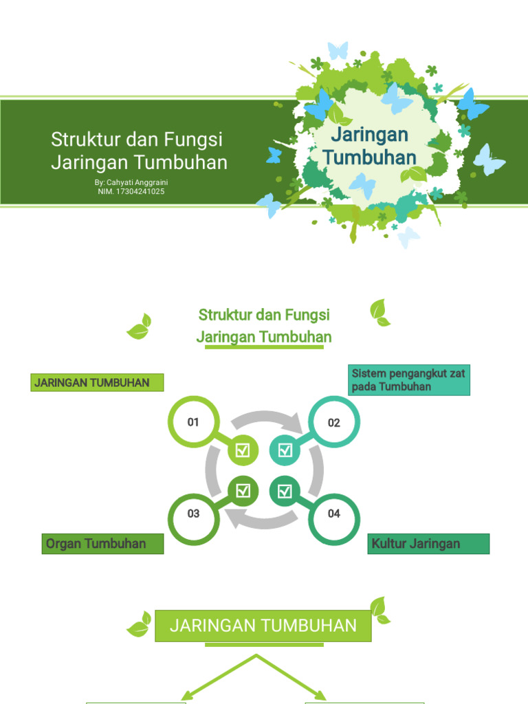 Struktur Dan Fungsi Jaringan Tumbuhan | PDF
