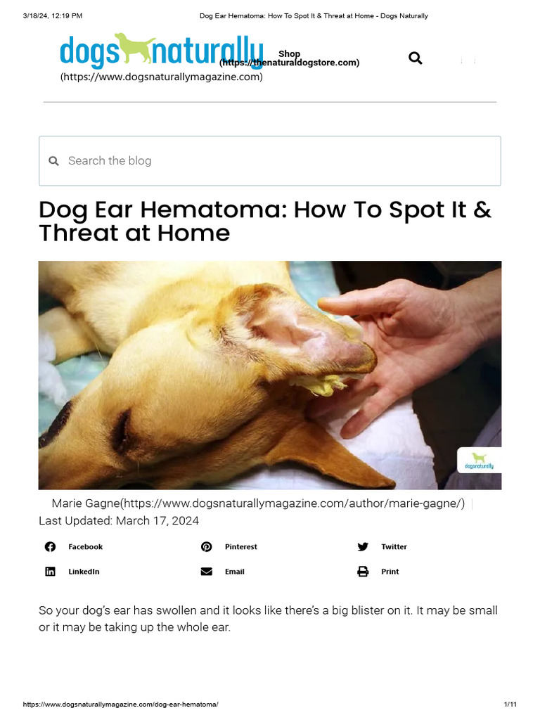 Dog Ear Hematoma - How To Spot It & Threat at Home - Dogs Naturally ...